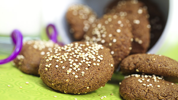 Ginger Snaps Website Photo