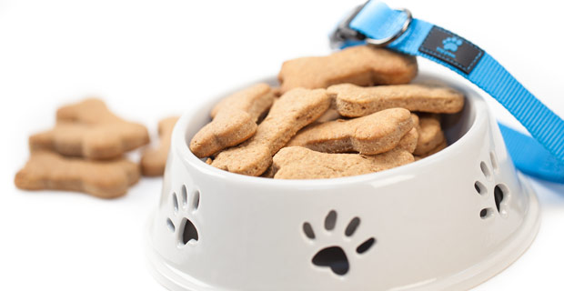 Peanut Butter Bones Blender Recipe_video