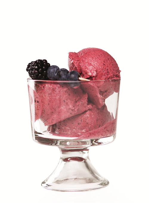 https://d2x83fpq8bsx3q.cloudfront.net/wp-content/uploads/2013/01/blueberry-ice-cream-500x680.jpg