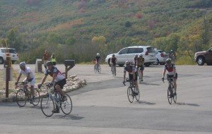 Group of People Biking