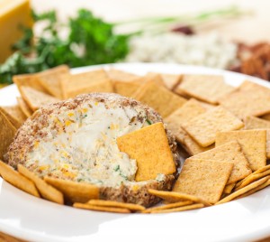 Cheese Ball Blender Recipe