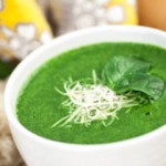 Spinach Soup Blender Recipe