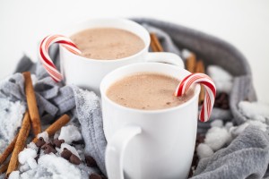 Peppermint Hot Cocoa Blender Recipe