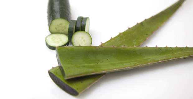 Aloe-Cucumber Freshener_10superfoods