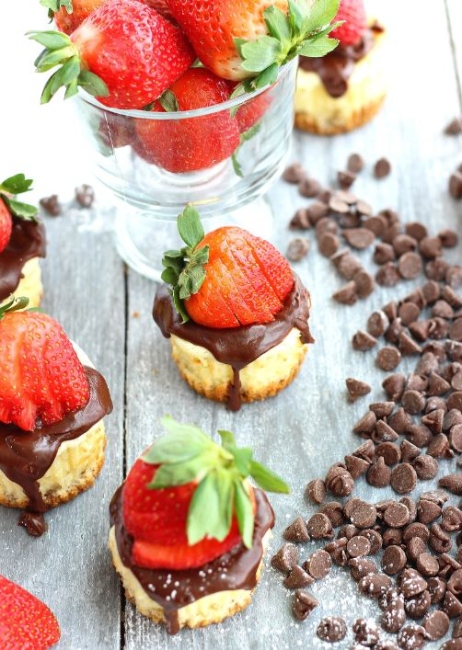 mini cheesecake recipe