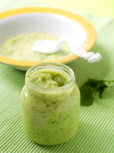 baby food recipes