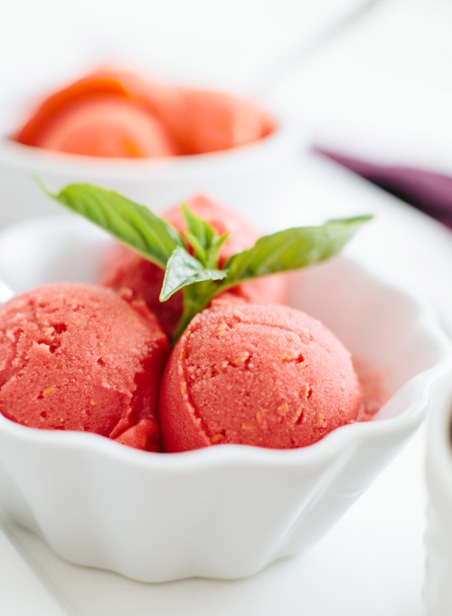 How to Make Sorbet