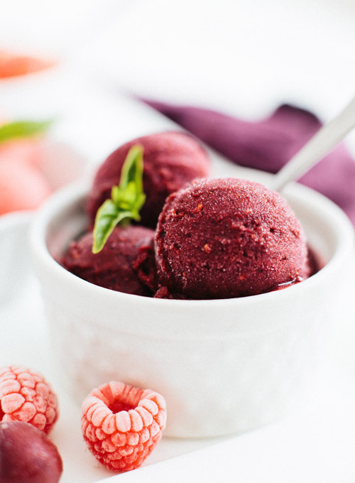 How to Make Sorbet